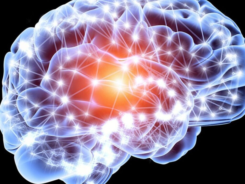 Comment protéger les artères du cerveau pour réduire le risque d’AVC ?