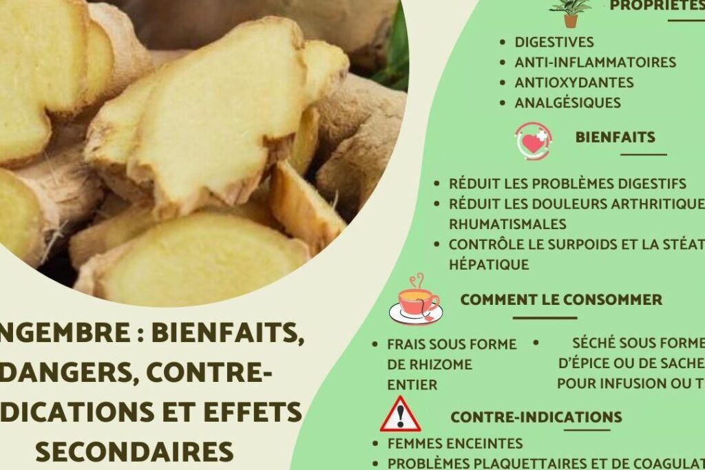 Contre-indications du gingembre : qui doit l&rsquo;éviter ?