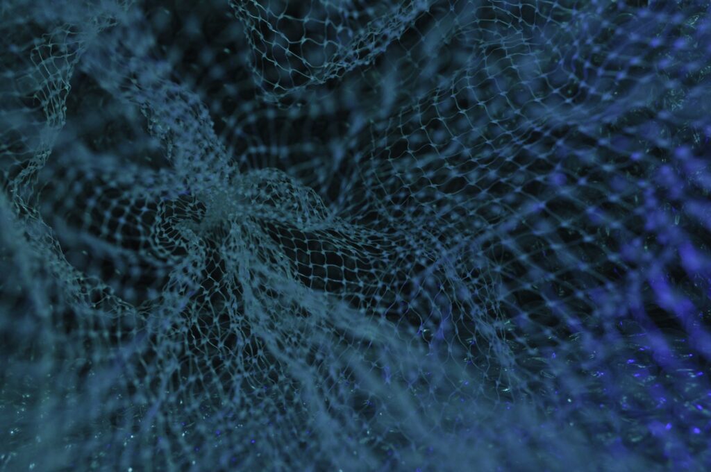 découvrez toutes les informations sur la connection et ses utilisations. apprenez-en plus sur la technologie de connection et son importance dans le monde moderne.
