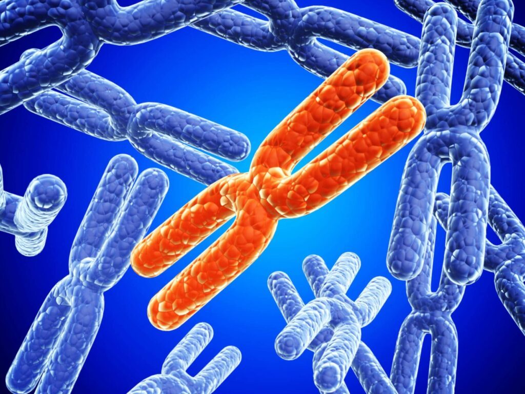 Comprendre le syndrome triple X : symptômes, diagnostic et prise en charge