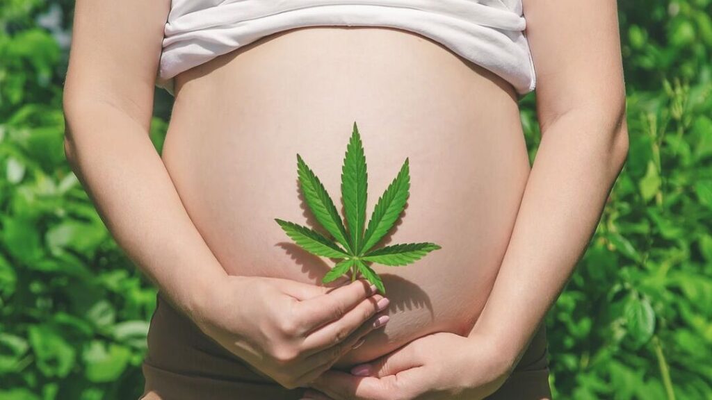 Le CBD est-il sûr pour les femmes enceintes?