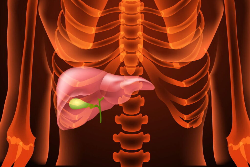 Vomir vert : quels sont les causes et quand faut-il s’inquiéter ?