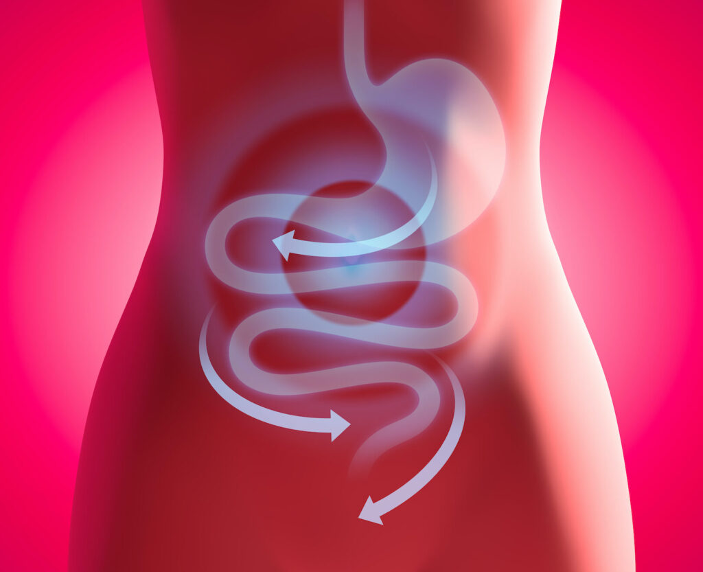 Comment la sonde gastrique peut-elle influencer l’espérance de vie ?