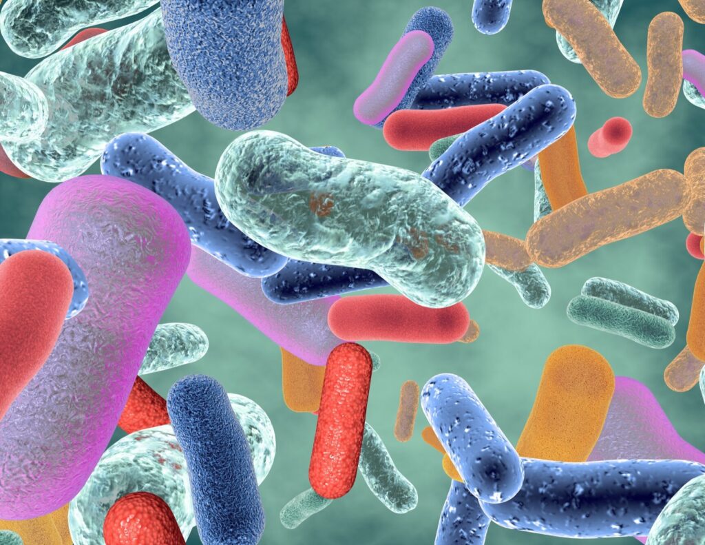 Comprendre le microbiote humain : définition et enjeux