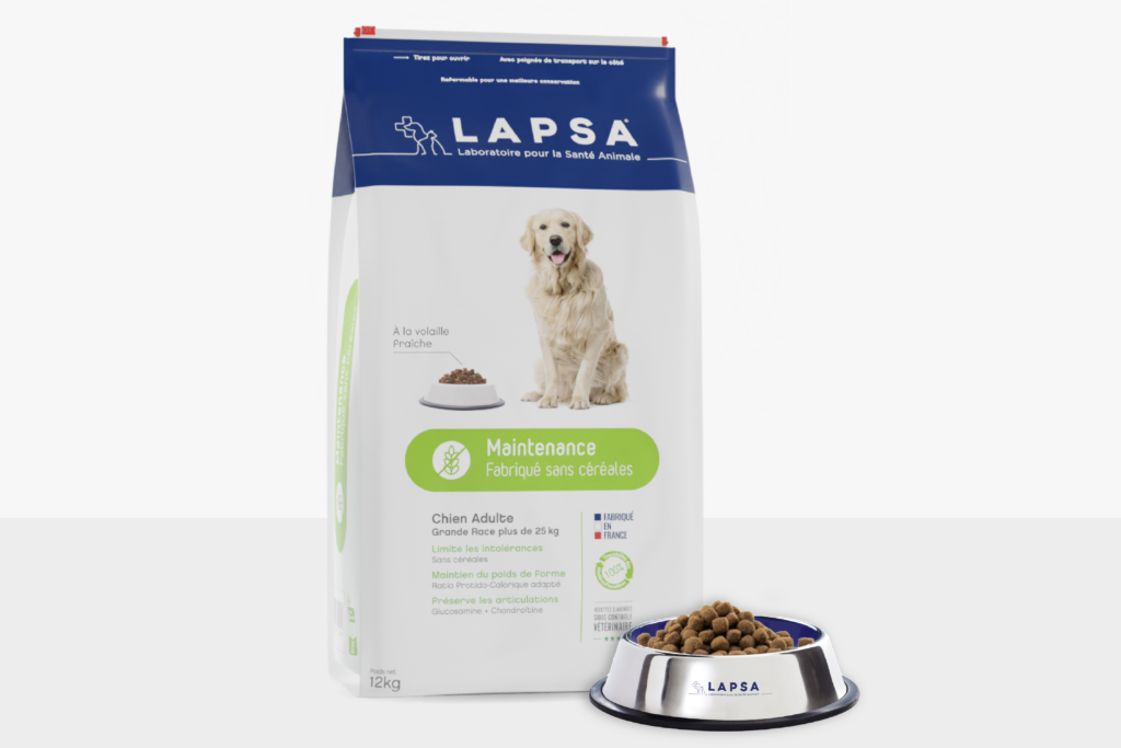 Croquettes de régime pour chien : choisir la meilleure alimentation pour la santé de votre compagnon
