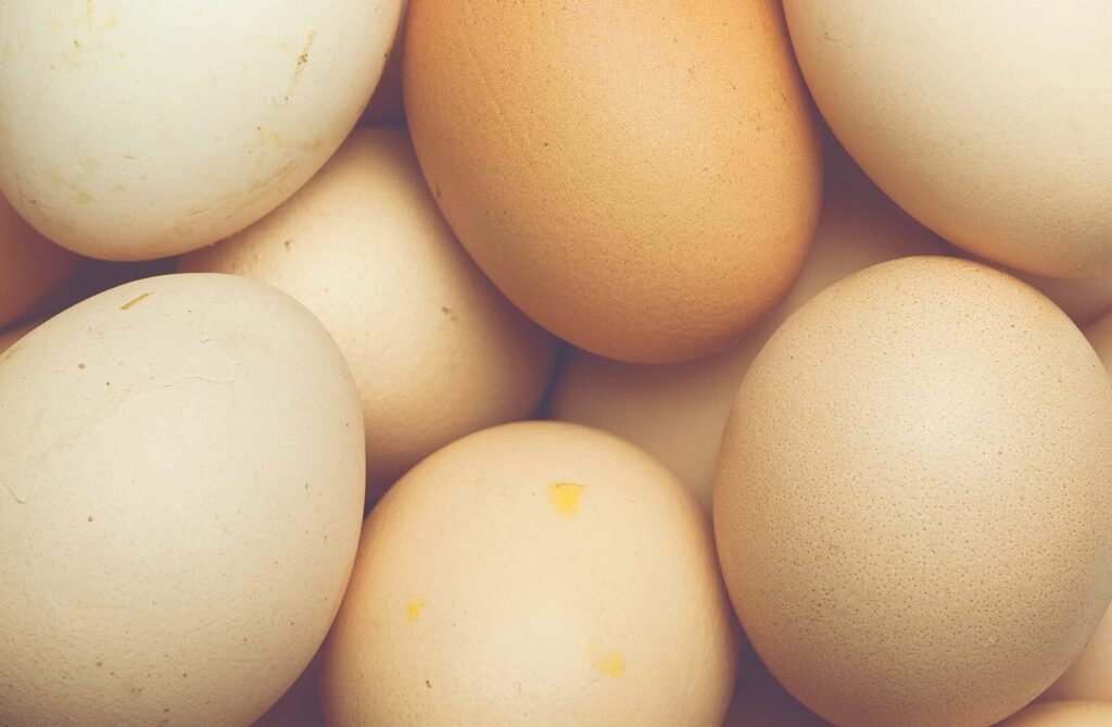 Combien de fois une femme ovule-t-elle dans sa vie ?