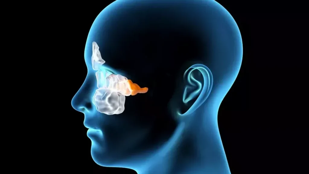 Quels sont les symptômes d’une thrombose du sinus caverneux ?