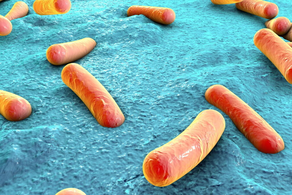 Comment traiter une infection urinaire causée par Klebsiella oxytoca ?