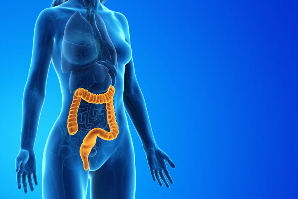 ileocolite : comprendre et gérer cette affection gastro-intestinale