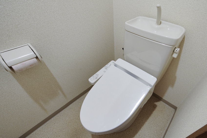wc japonais