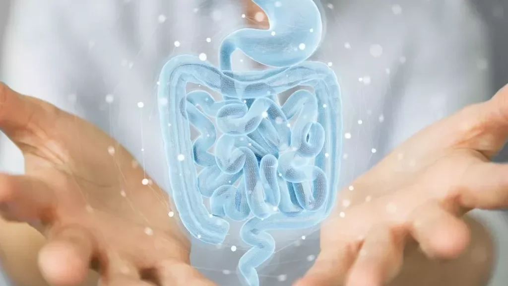 Flore résidente : quelle est sa définition et son rôle dans votre santé ?