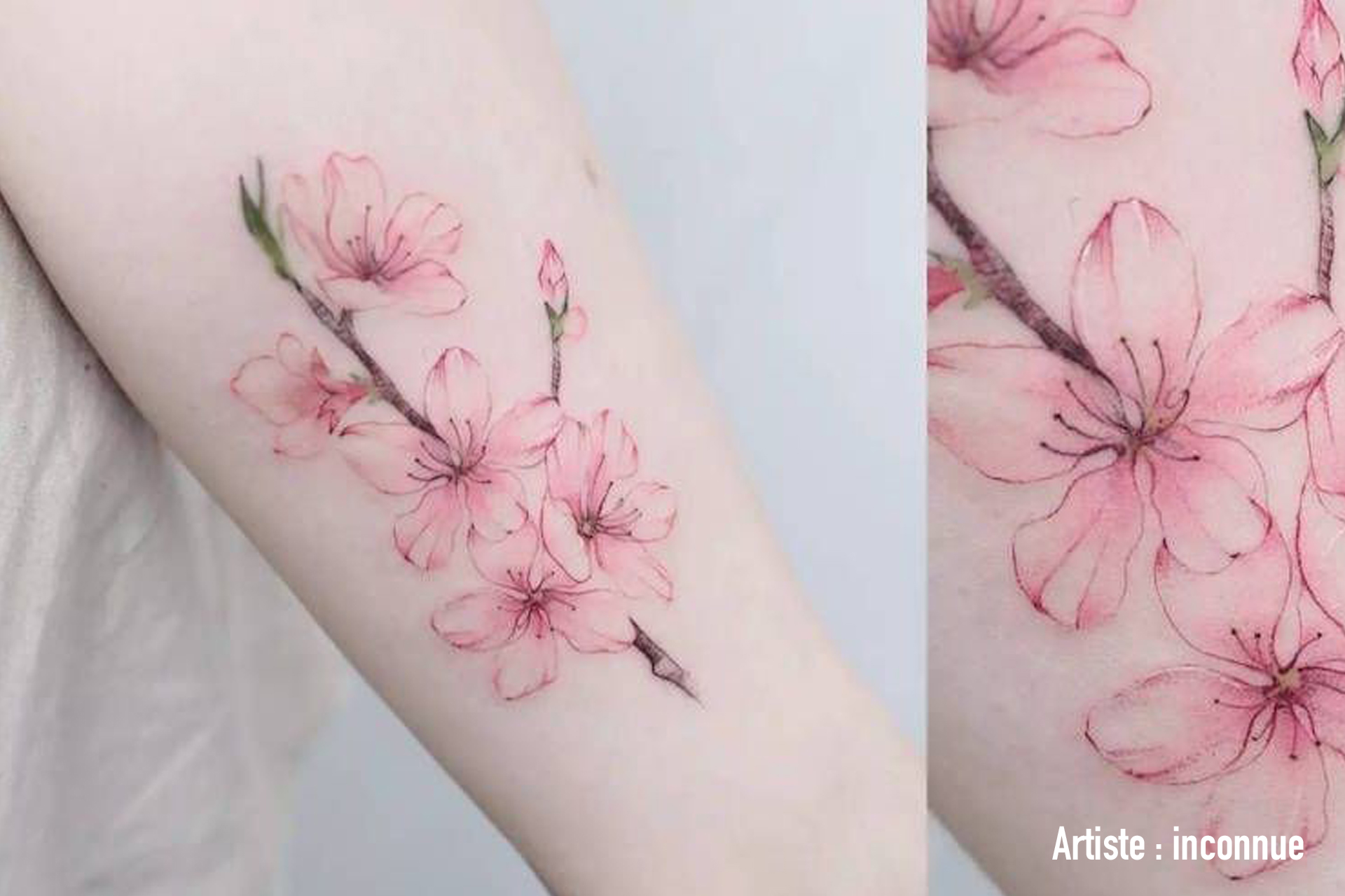 Tatouage fleur de cerisier