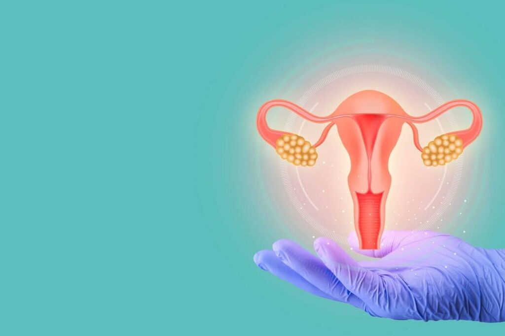 Réserve ovarienne basse : quels impacts sur la fertilité et comment réagir ?