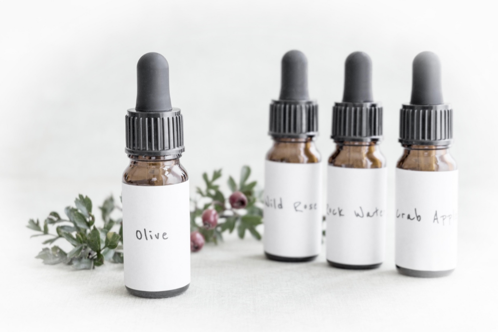 Médicaments doux vs pilules : comment distinguer les bienfaits des plantes des risques ?