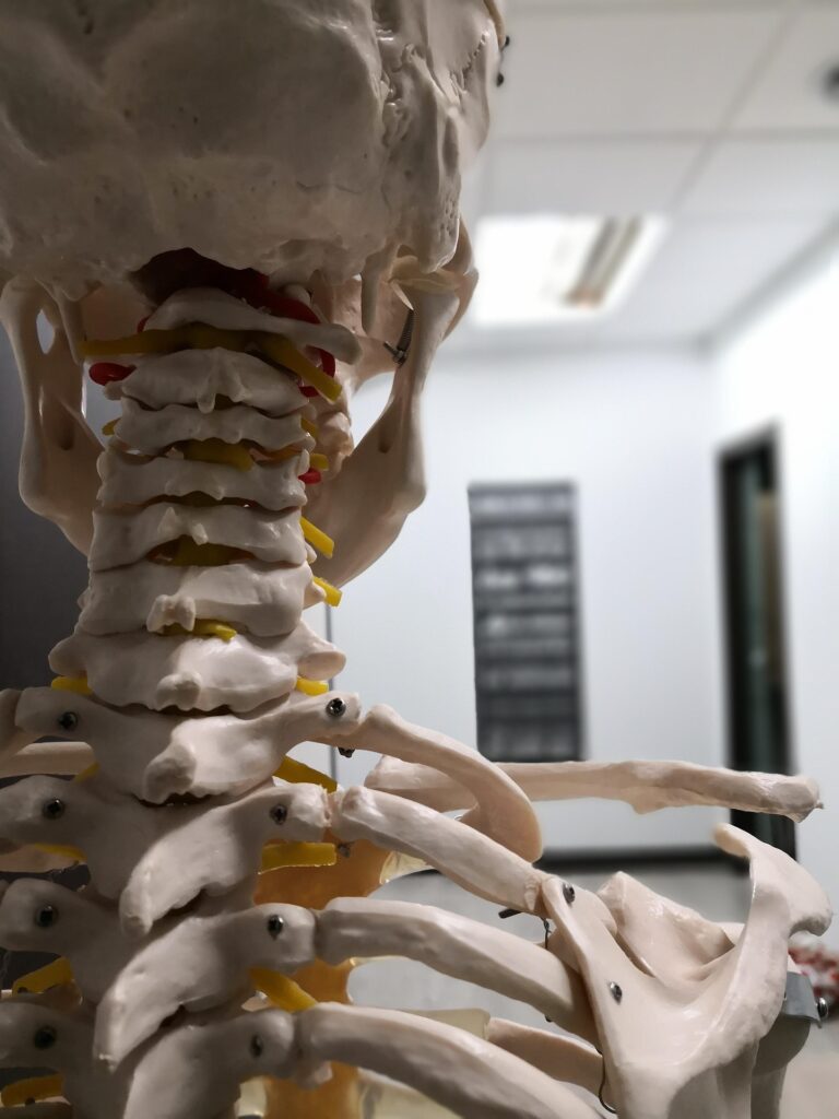 Quelle mutuelle remboursent le mieux les séances chez un ostéopathe ?